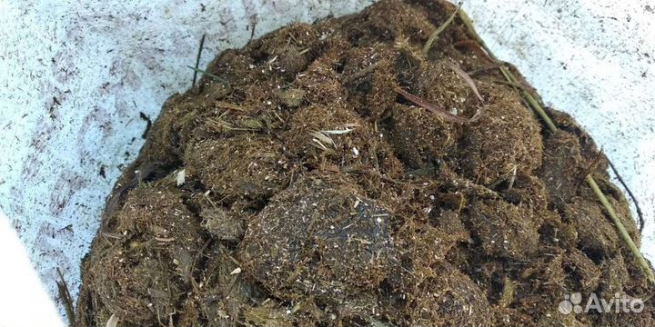 Конский навоз