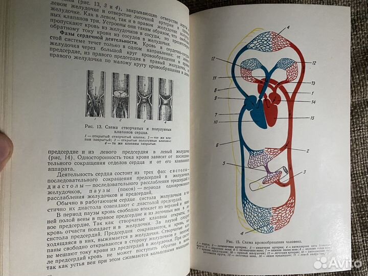 1954 Маркосян А. Нормальная физиология. Учебник