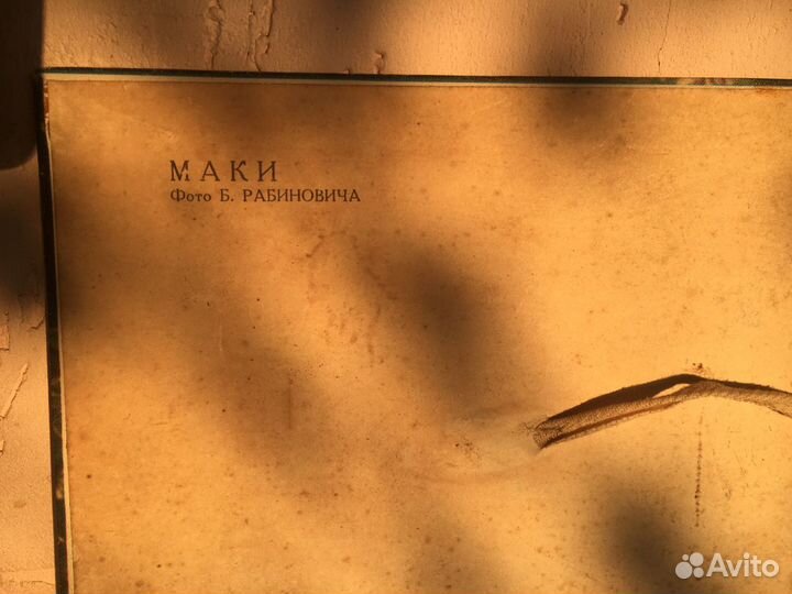 Фотокартина СССР