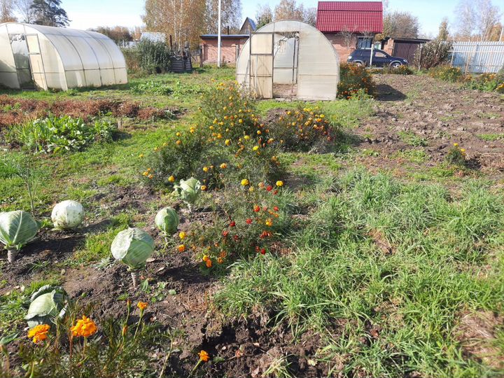 Участок 6 сот. (СНТ, ДНП)