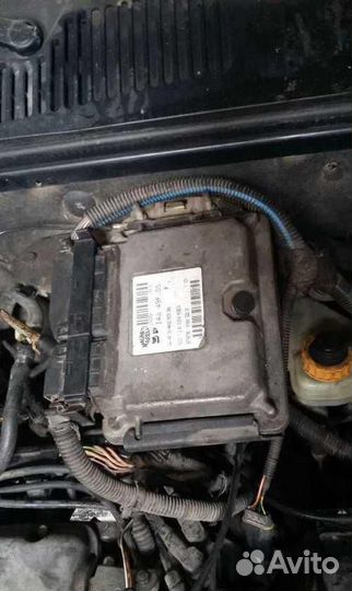 Мозги Fiat Punto