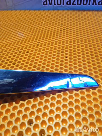 Молдинг капота Skoda Fabia