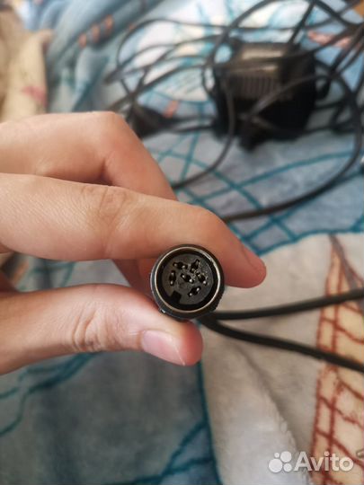 Ретро акустические тюлпаны