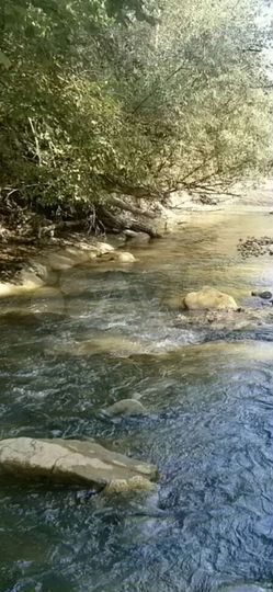 Участок 40 сот. (ИЖС)