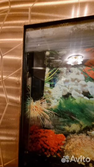 Аквариум настенный