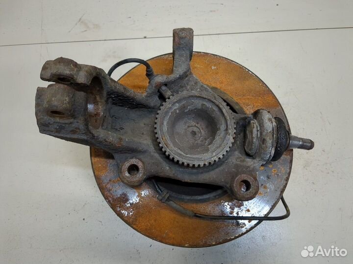 Ступица (кулак, цапфа) Ford Transit, 2008