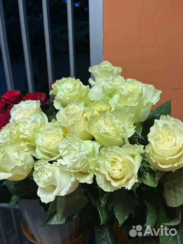 Розы крымские и голландские