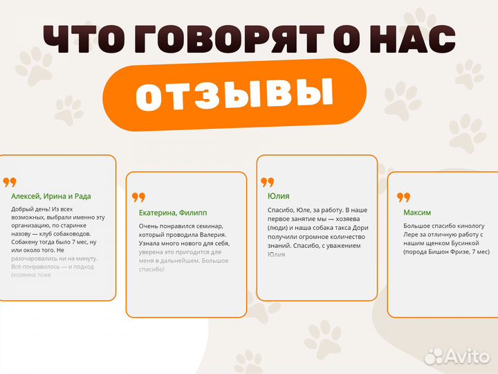 Дрессировка собак, подбор щенка