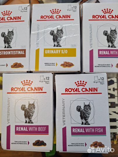 Ветеринарные корма Монж и Роял канин