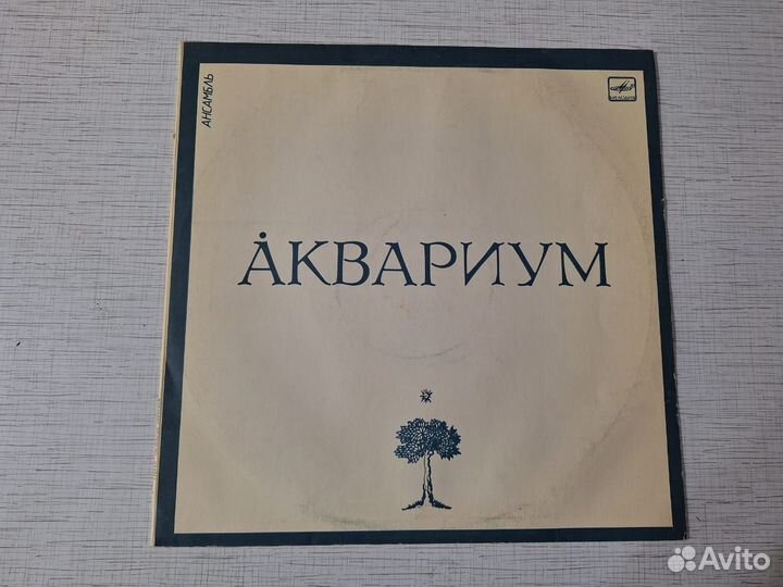 Виниловая пластинка группы 