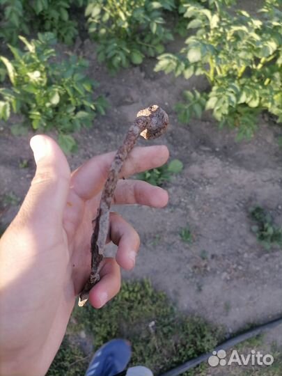 Гвоздь с историей