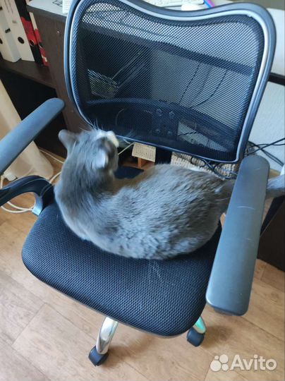 Компьютерное кресло