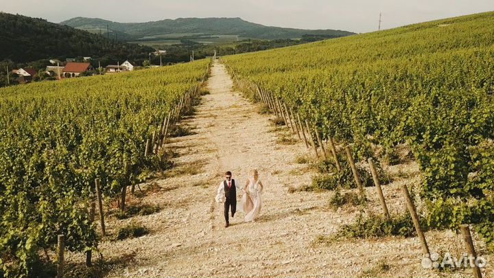 Видеограф Краснодар. Видеосъёмка. Свадебное видео