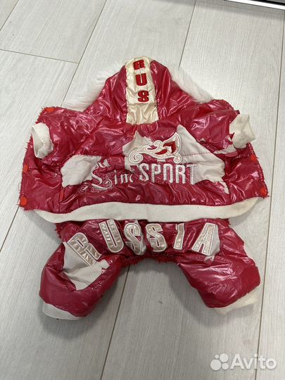 Одежда для собак