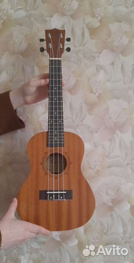 Укулеле Fabio концерт