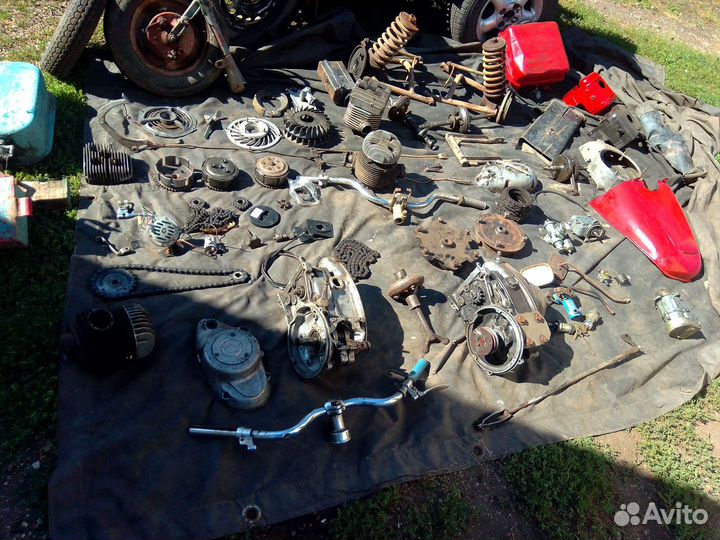 На мотороллер муравей