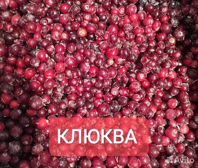 Клюква брусника черника замороженные дикорастущие