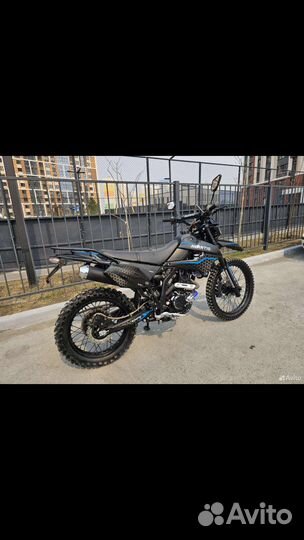 Avantis lx 300