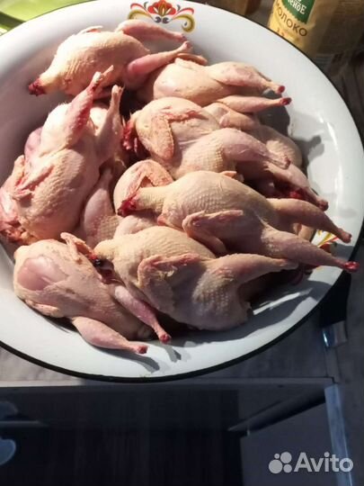 Перепелиное мясо