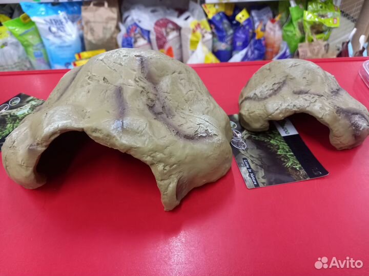 Для водных черепах