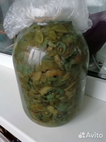 Рыжики солёные