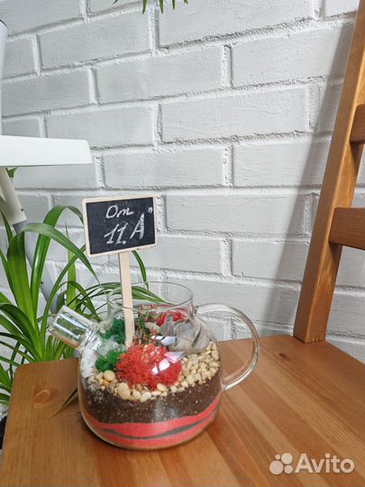 Флорариум, суккуленты, цветы