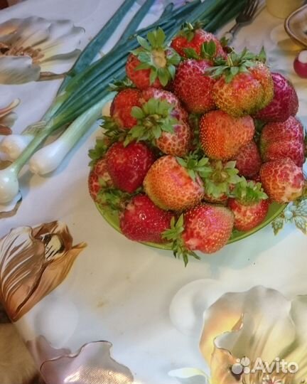 Саженцы клубники