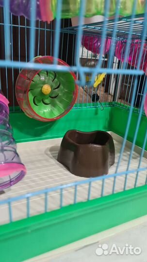 Клетка для джунгарского хомяка