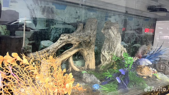 Аквариум большой бу