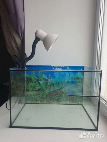 Террариум для черепахи, 50 литр