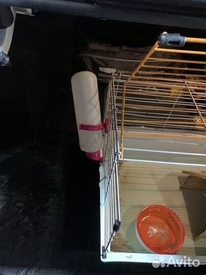 Клетка для свинки