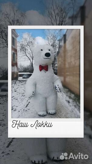 Белый мишка поздравление