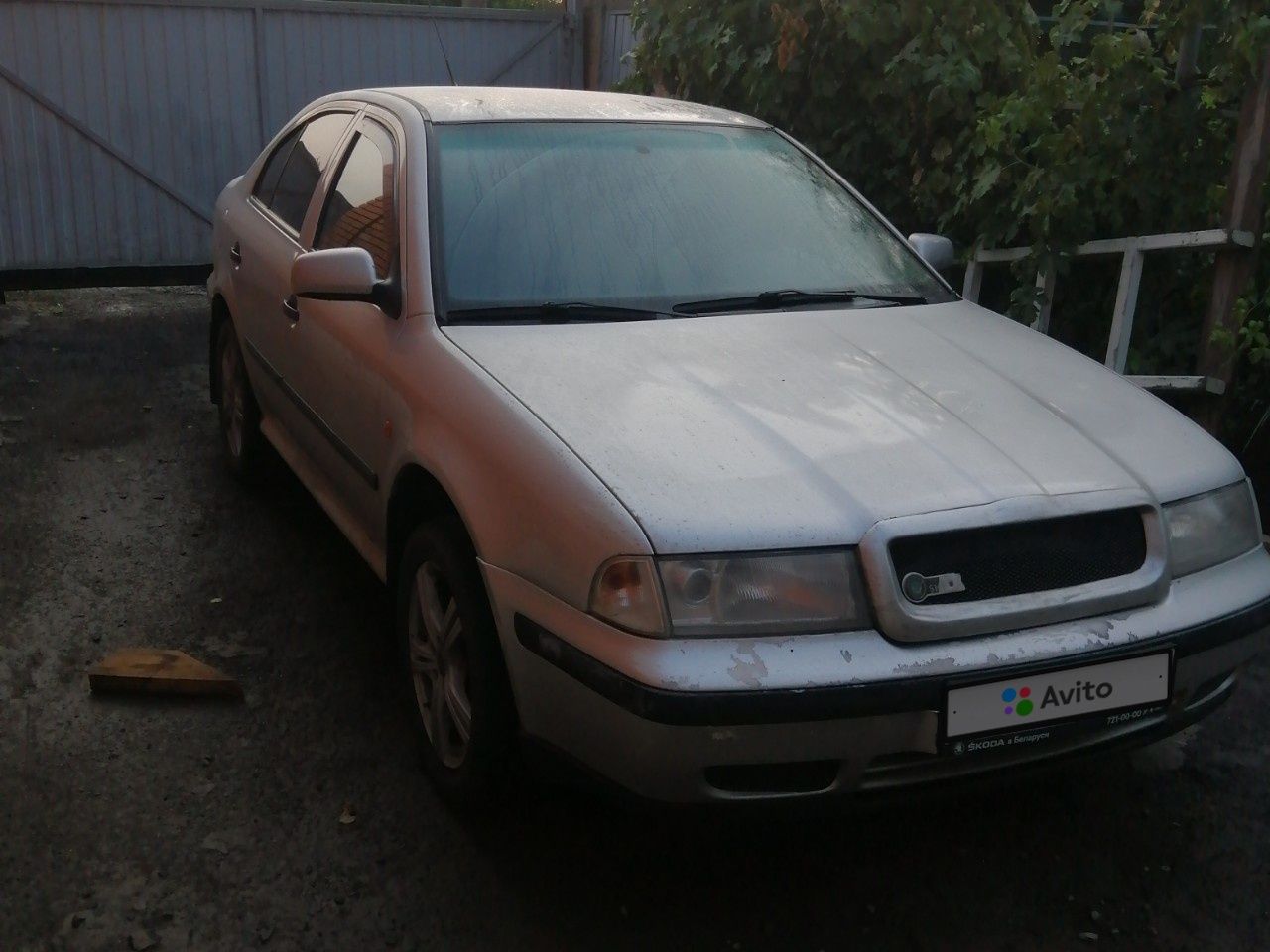 Skoda Octavia: фото владельца