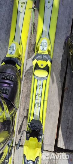 Горные лыжи