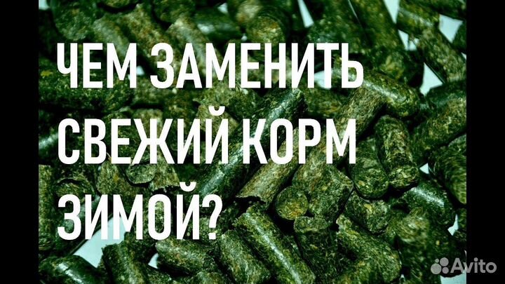 Кормовая мука травяная