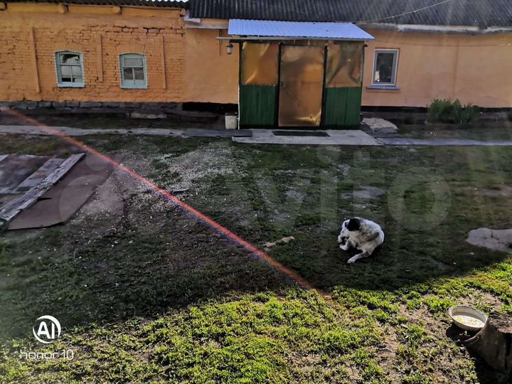 Дом 56 м² на участке 46 сот.