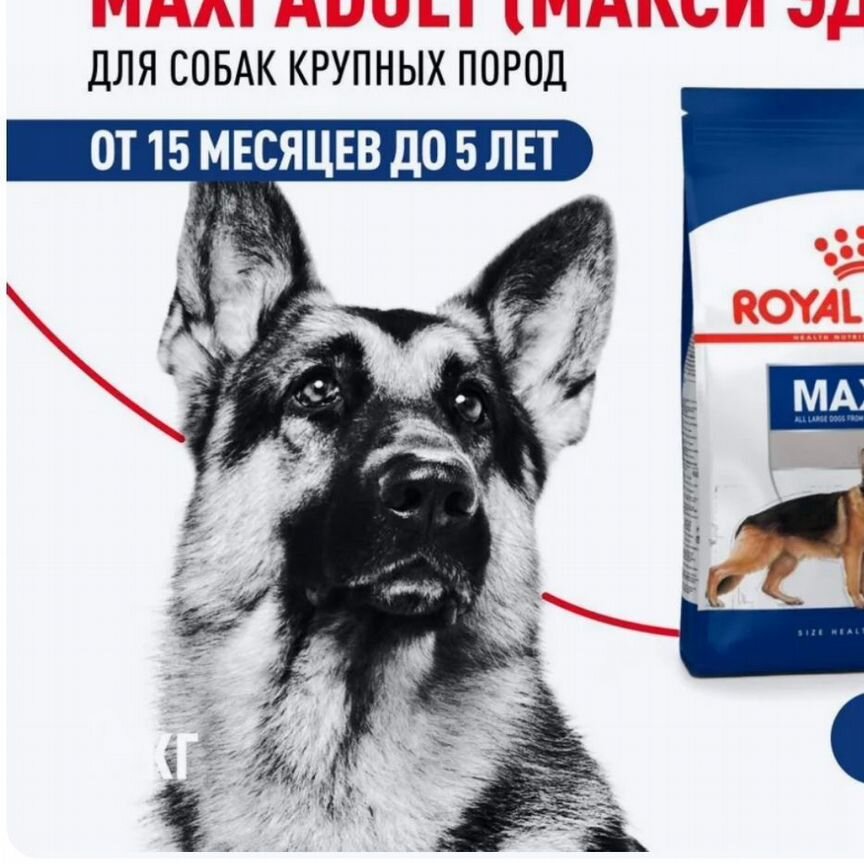 Корм для собак royal canin 10 кг