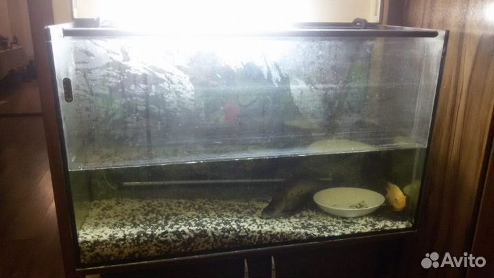 Обслуживание Аквариумов