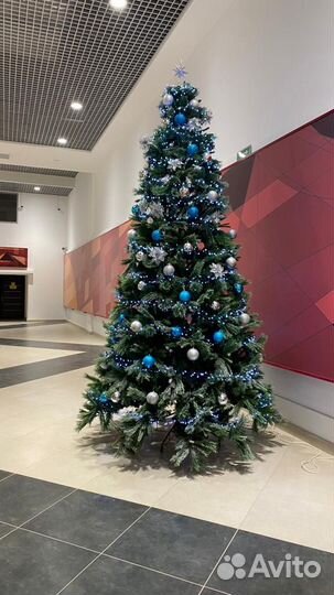 Ель новогодняя ростом 3.60м