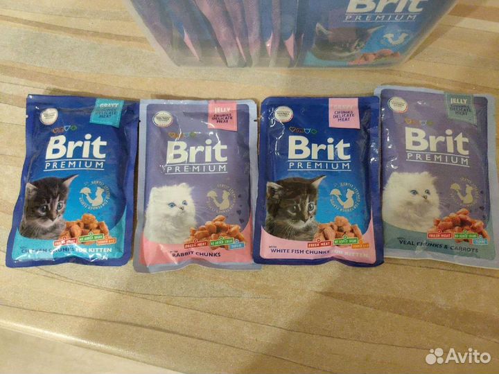 Влажный корм для котят Brit premium