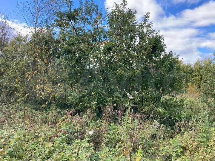 Участок 13 га (СНТ, ДНП)