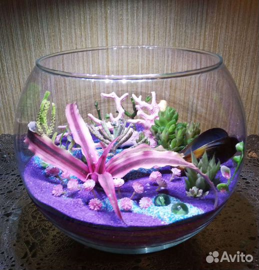 Флорариум роскошный с футбольный мяч