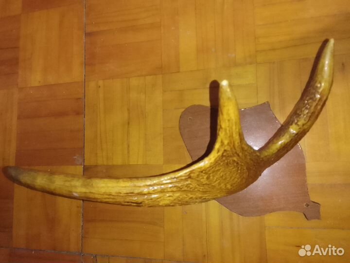Вешалка-лосиный рог