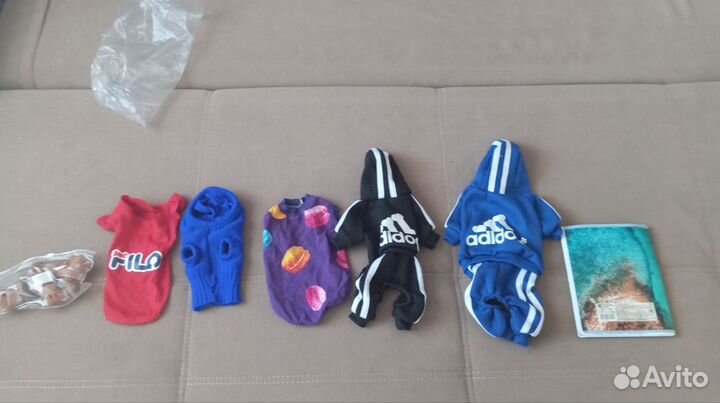 Одежда для маленьких собак