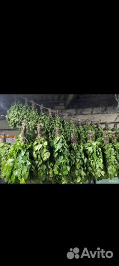 Березовые веники оптом