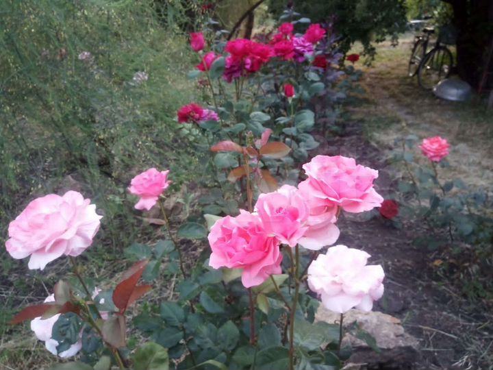 Дом 30 м² на участке 24 сот.