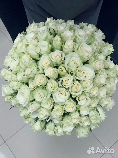 Розы кении, букет роз, 25 роз, 51 роза, 101 роза