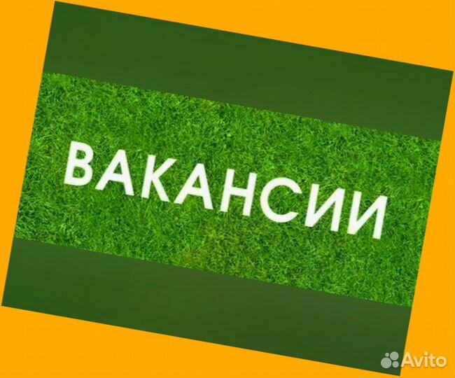 Кладовщик без опыта Еженедельные выплаты Одежда