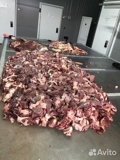 Собачьи корма