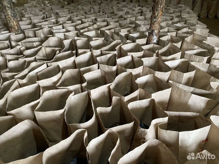 Уголь древесный оптом